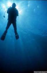 Diver by Faiz Alshaikh 